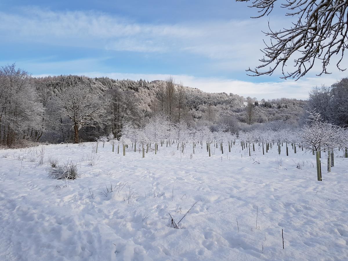 Westcot Otel Callander Dış mekan fotoğraf